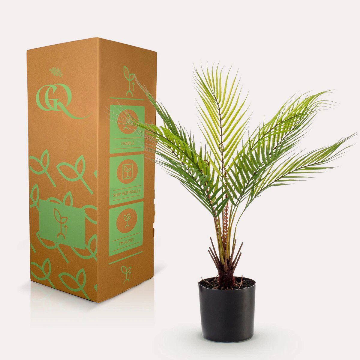 Art plant - Chamaedorea - Bergpalm - 50 cm by Green boutiQ