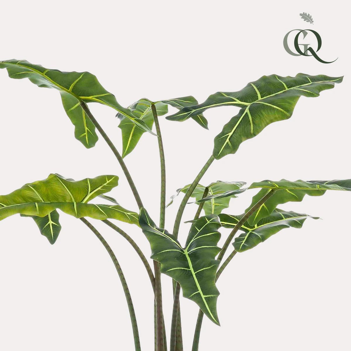 Artificial plant - Alocasia Frydek - Elephant's ear - 120 cm by Green boutiQ