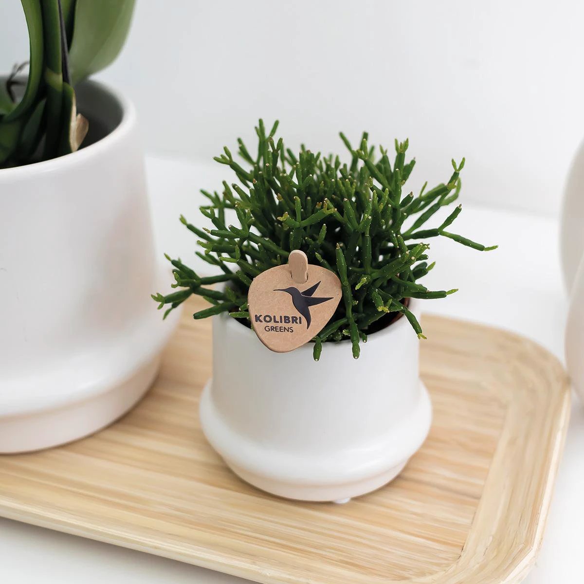 Hummingbird Home | Bamboo oval tray by Kolibri Company