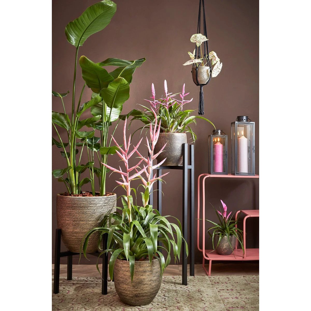 Plant stand Ascot Black by Mica Decorations