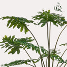 Art Plant - Philodendron - 105 cm by Green boutiQ