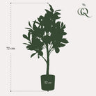 Art plant - Citrus Limonia - Citroenboom - 75 cm by Green boutiQ