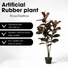 Artificial plant Rubber plant Red by Mica Decorations