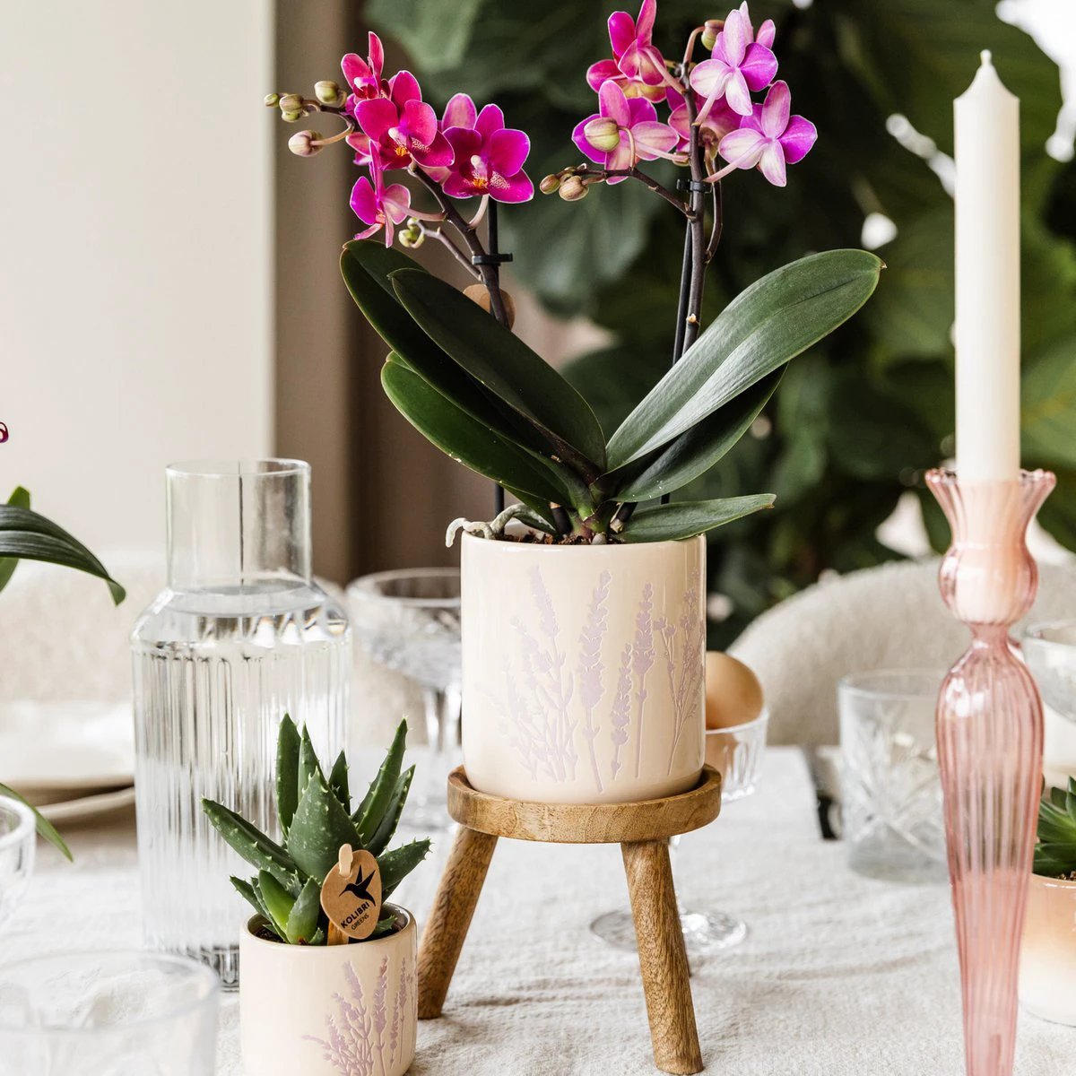 Hummingbird Home | Plant stand - Wooden plant raiser Ø12cm by Kolibri Company