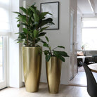 Plantenpot - Kentucky Gold by Vase The World