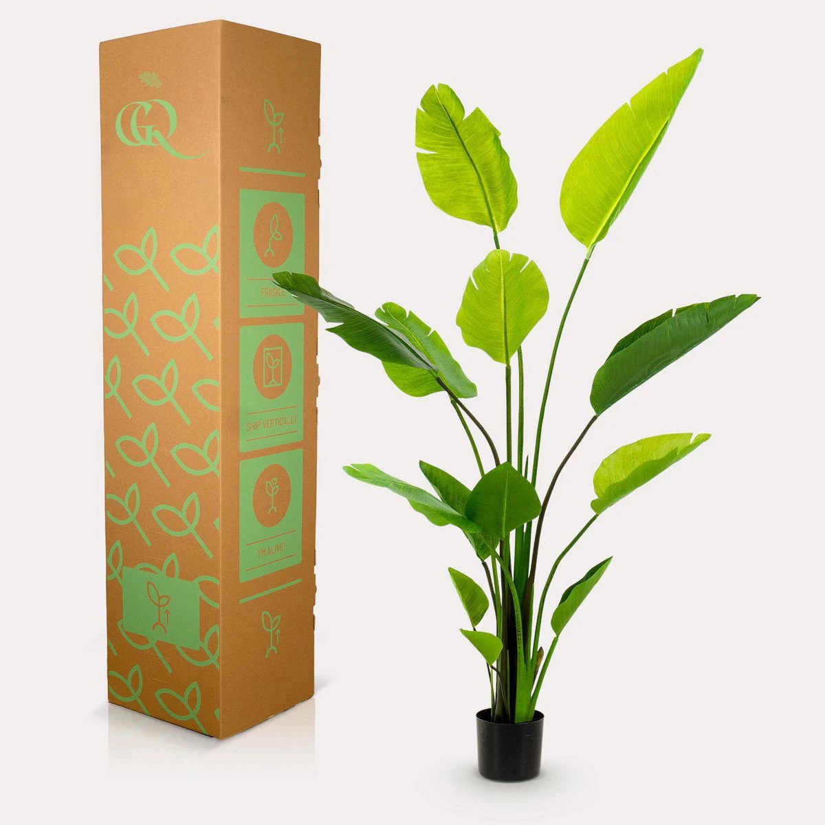 Art plant - Strelitzia Nicolai - Paradise bird flower - 150 cm by Green boutiQ