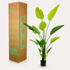 Art plant - Strelitzia Nicolai - Paradise bird flower - 150 cm by Green boutiQ