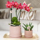 Kolibri Home | Bali sierpot - Sand - Ø9cm by Kolibri Company