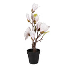 Artificial tree Magnolia 12x12x40 cm White Plastic by Clayre & Eef.