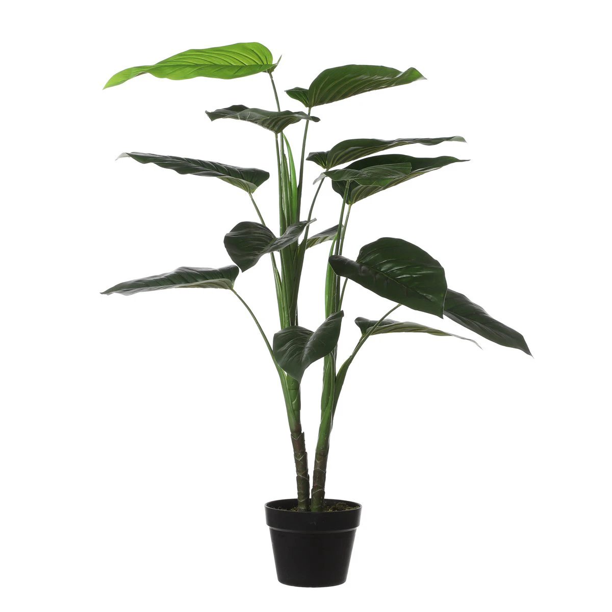 Artificial plant Green by Mica Decorations