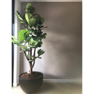 Plantenpot - Louisiana black by Vase The World