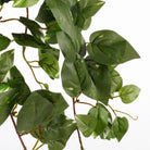 Artificial hanging plant Scindapsus hanging Green by Mica Decorations