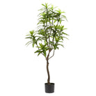 Art plant - Dracaena - Dragon tree - 130 cm by Green boutiQ