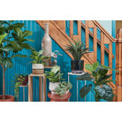 Plantenmanden set Damian Wit by Mica Decorations