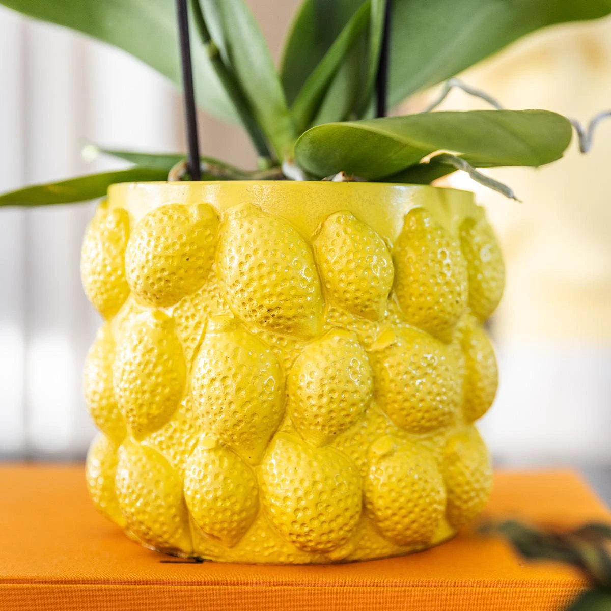 Hummingbird Home | Citrus pot yellow - Ø9cm by Kolibri Company