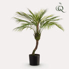 Art plant - Chamaedorea - Bergpalm - 85 cm by Green boutiQ