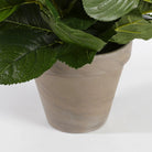 Artificial plant Hydrangea White by Mica Decorations