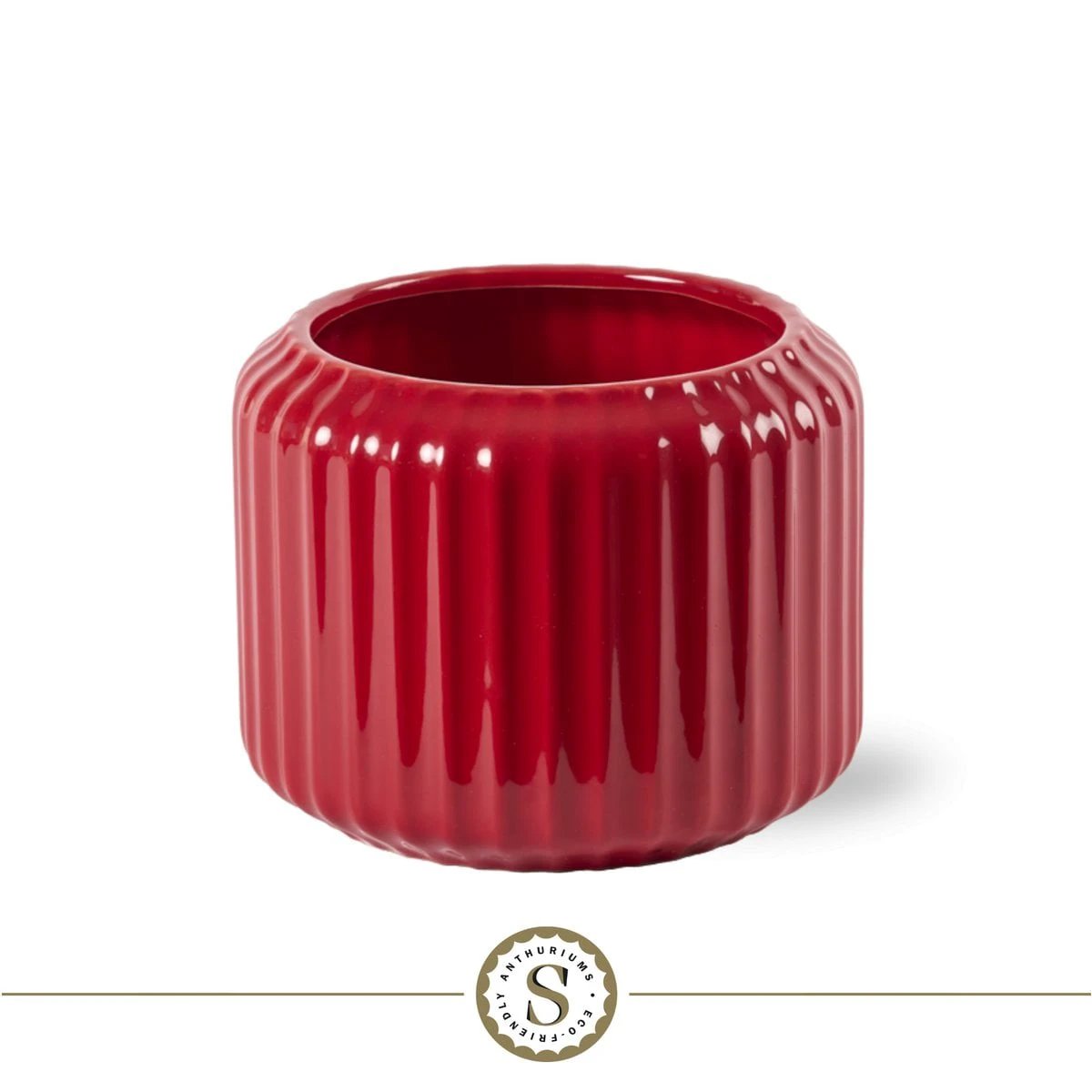 Bologna Dark Red Champion by Blooming Luxury