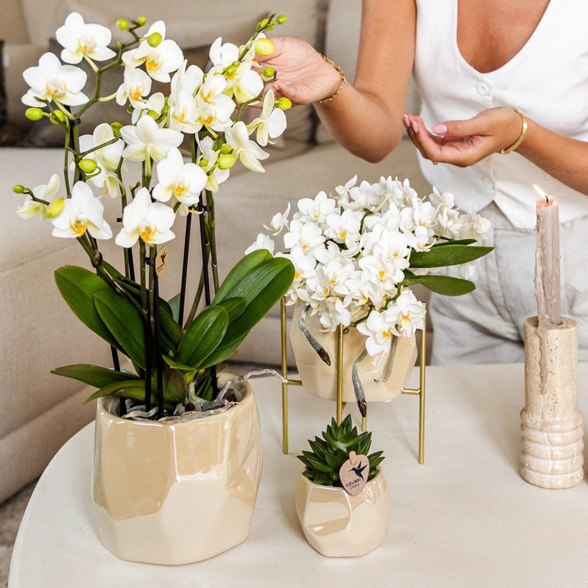Kolibri Home | Combi deal - Pearl travertine potten by Kolibri Company