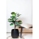 Artificial plant - Ficus Lyrata - Tobacco plant - 90 cm by Green boutiQ