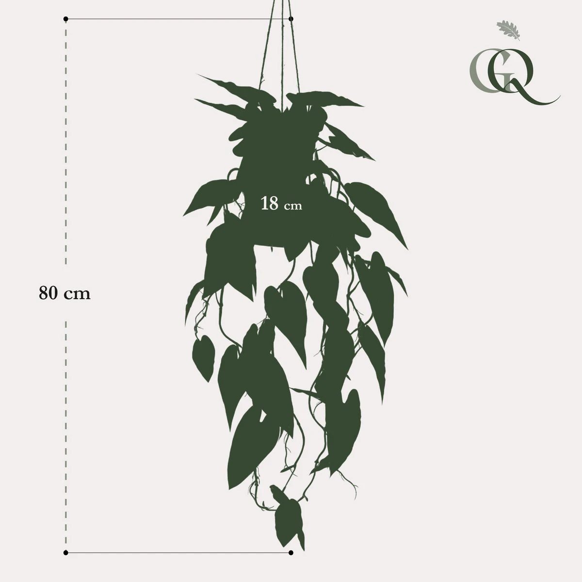 Kunstpflanze – Alocasia – Elefantenohr – 80 cm von Green boutiQ