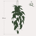 Kunstpflanze – Alocasia – Elefantenohr – 80 cm von Green boutiQ