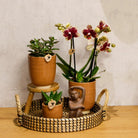Hummingbird Home | Decorative bowl - Black woven tray Ø30cm by Kolibri Company
