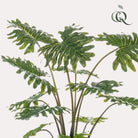 Artificial plant - Philodendron - 80 cm by Green boutiQ