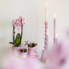 Kolibri Home | Fish - Pink - Ø6cm by Kolibri Company