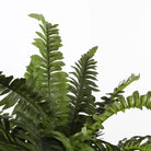 Artificial plant Fern Green by Mica Decorations