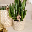 Kolibri Home | Diamond pearl sierpot - Travertine - Ø6cm by Kolibri Company