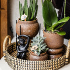 Hummingbird Home | Ornament - Decoration statue Sitting Monkey - Black by Kolibri Company