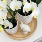 Kolibri Home | Ornament - Decoration Image Cockatoo - White by Kolibri Company