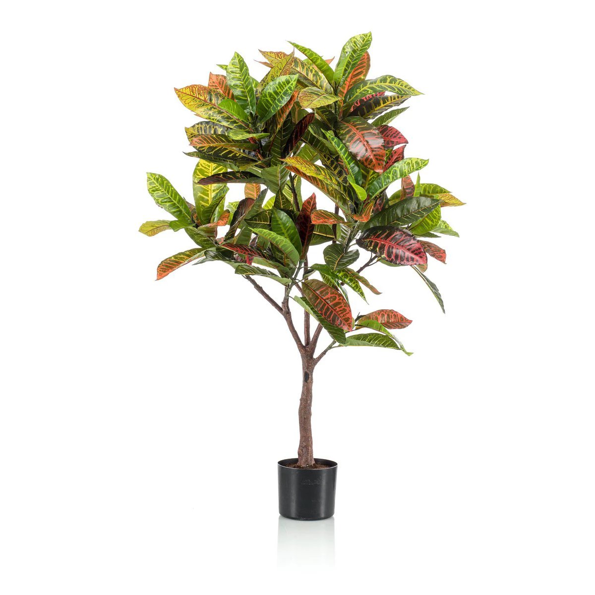 Art plant - Croton Codiaeum - Wonder bush - 120 cm by Green boutiQ