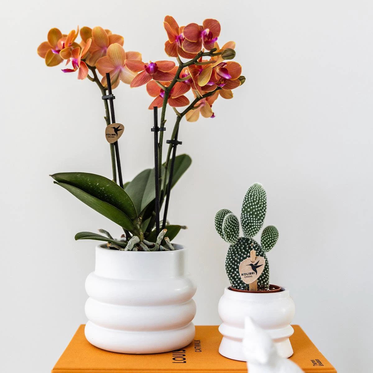 Hummingbird Home | Bubble pot white - Ø9cm by Kolibri Company