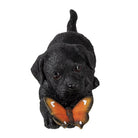 Decoration dog 20x8x11 cm by Clayre & Eef.