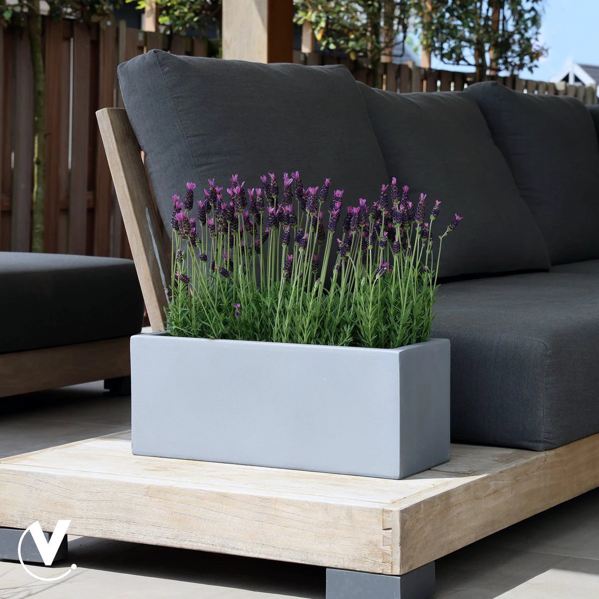 Planning box - Virginia Gray (set of 2 pieces) by Vase The World