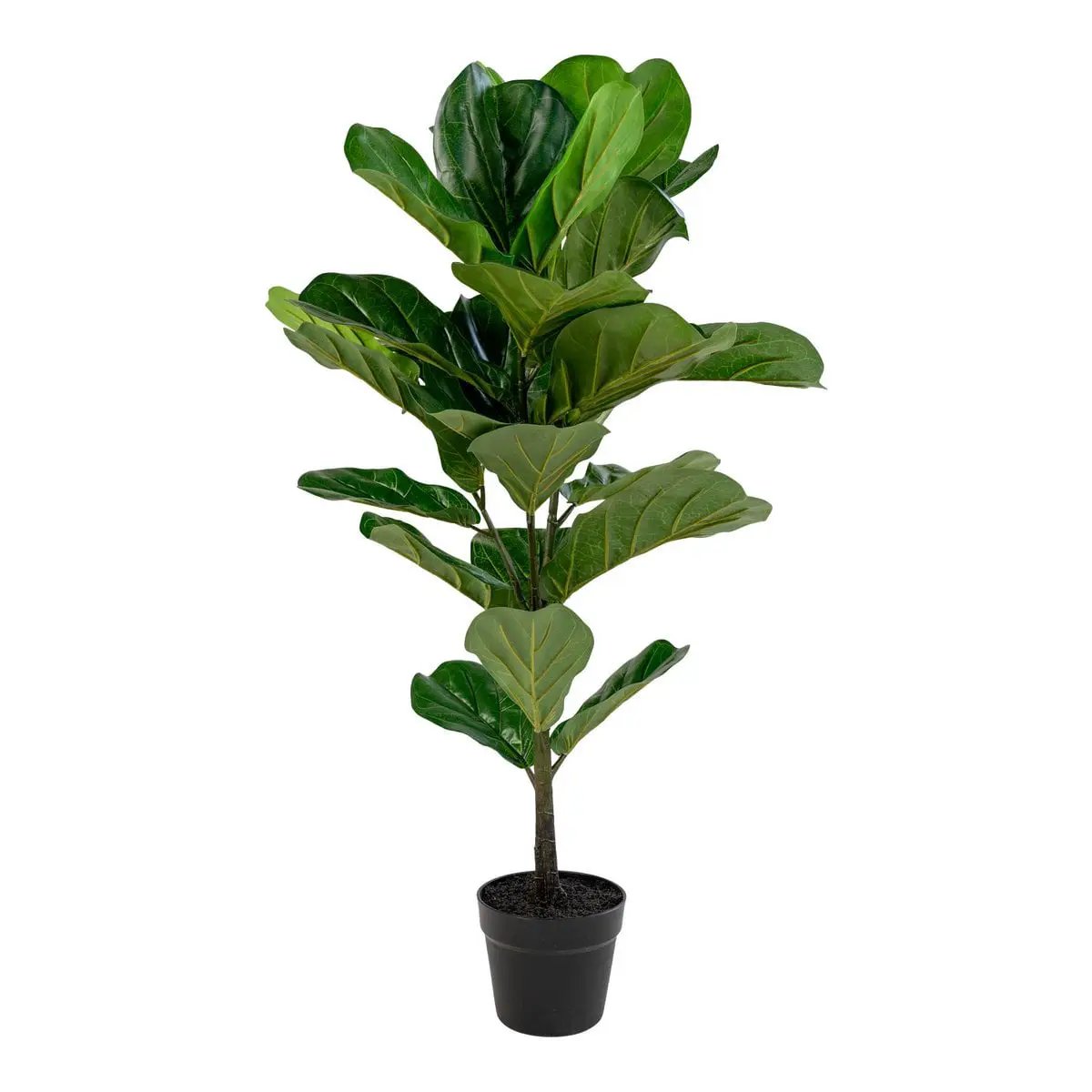 Fiddle Leaf Tree - Green, PE Plastic/Polyester/Cement, 36x46x100 cm by EMIRELLE