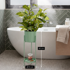 Flowerpot inside Colyn Groen by Mica Decorations