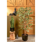 Artificial plant Ficus Green by Mica Decorations