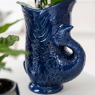 Kolibri Orchids | Set of Orchid Lima And Succulents In Ceramic Sier Pots - Pot size Ø9cm & Ø6cm | Flowering houseplant - Fresh from the grower by Kolibri Company