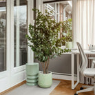 Artificial plant Eucalyptus tree Green by Mica Decorations