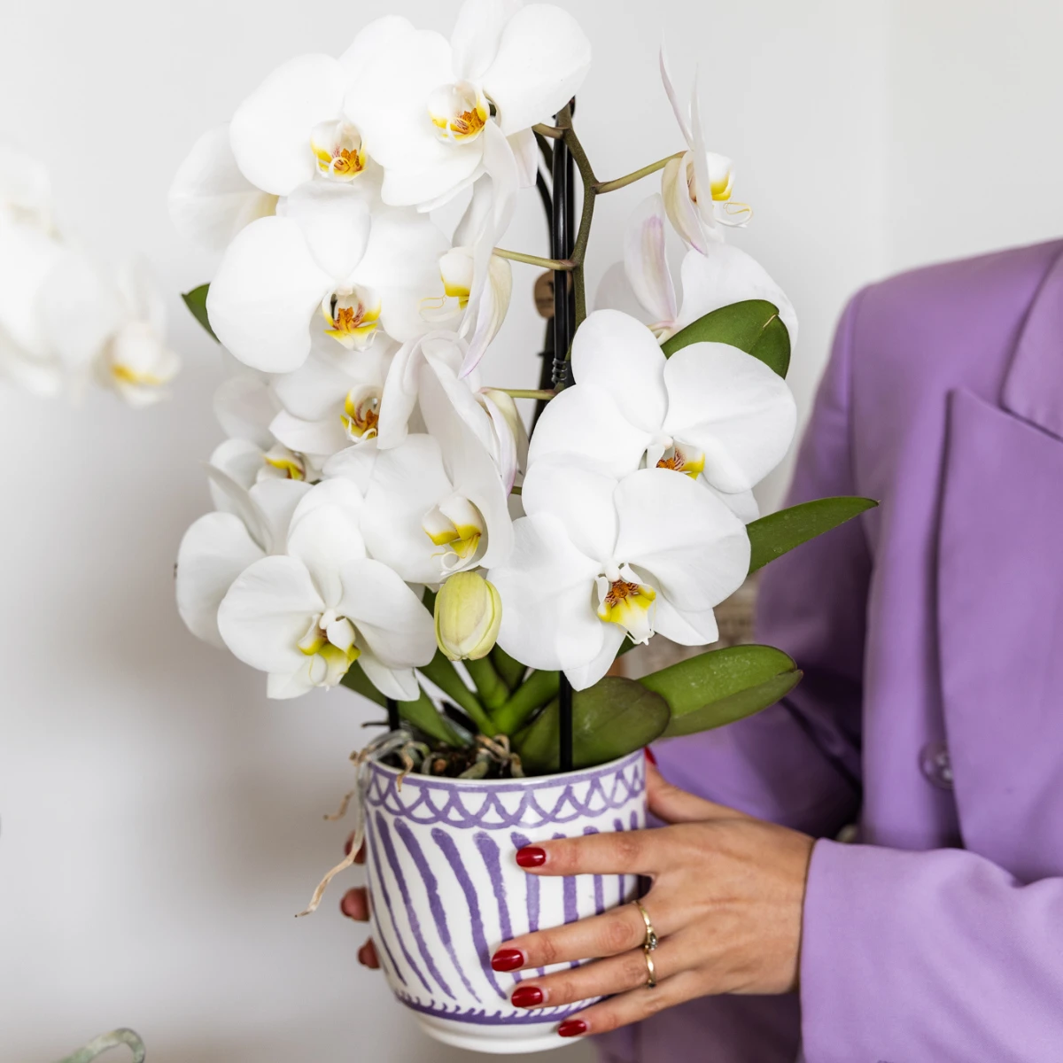Kolibri Home | Granada - Lilac - Ø12cm by Kolibri Company