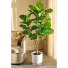 Artificial plant Ficus Green by Mica Decorations
