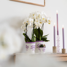 Kolibri Home I Malaga pot - Lilac - Ø12cm by Kolibri Company