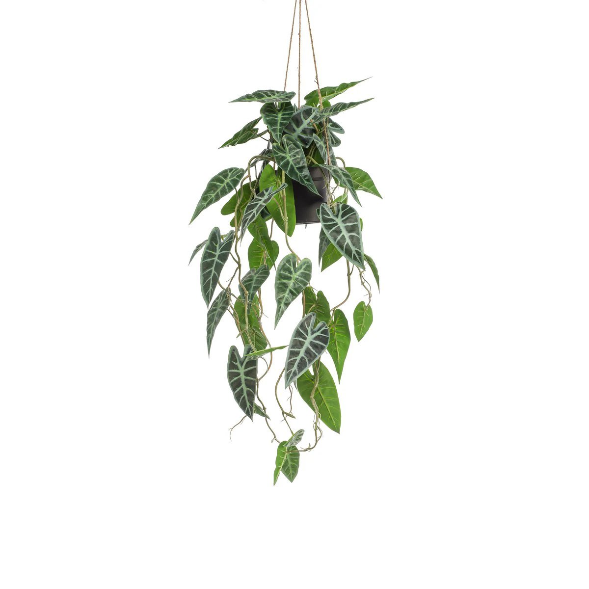 Kunstpflanze – Alocasia – Elefantenohr – 80 cm von Green boutiQ