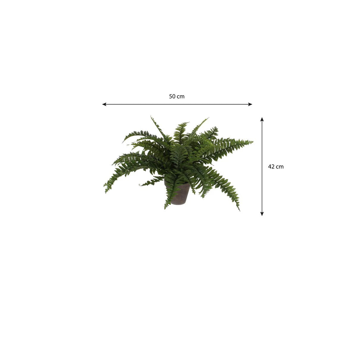 Artificial plant Boston fern Green by Mica Decorations