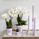 Kolibri Home I Malaga pot - Lilac - Ø6cm by Kolibri Company