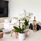 Kolibri Home | Granada - Pink - Ø9cm by Kolibri Company