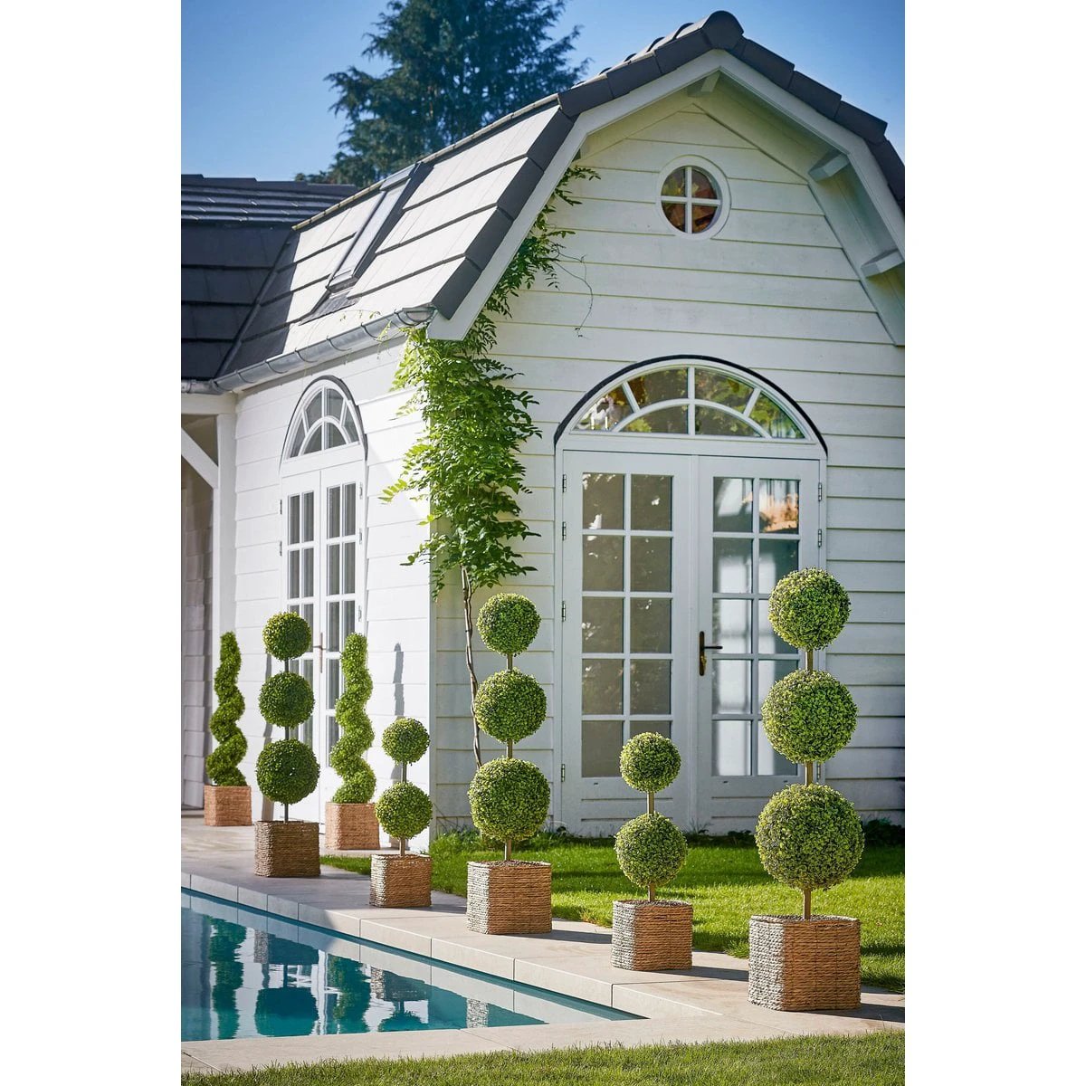 Artificial plant Boxwood Green by Mica Decorations